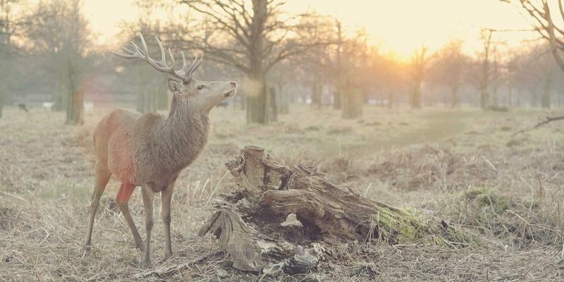 产品优化与市场分析：如何科学验证产品市场契合度并建立高效迭代反馈循环