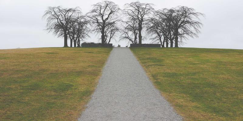 产品优化与市场分析：解码社会、情感与功能属性在购买决策中的权重测量