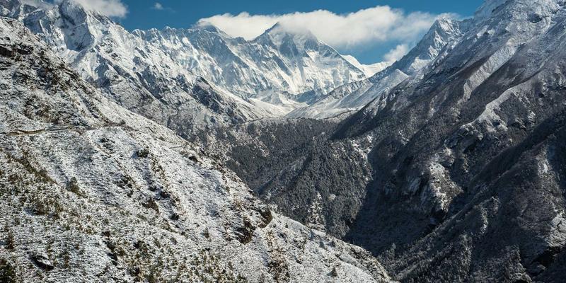 从数据到洞察：市场调研案例分析如何驱动商业决策