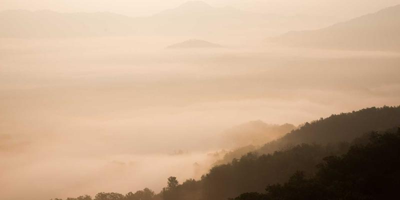 品牌健康度追踪调研：如何通过产品优化与用户反馈构建持续监测体系