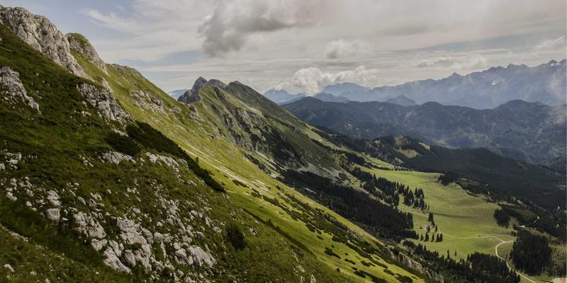 定价策略优化研究：如何结合联合分析与价格敏感度测试确定最优价格点