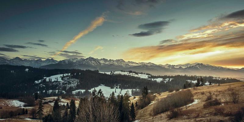 市场分析与数据收集：如何通过市场调研制定精准定价策略