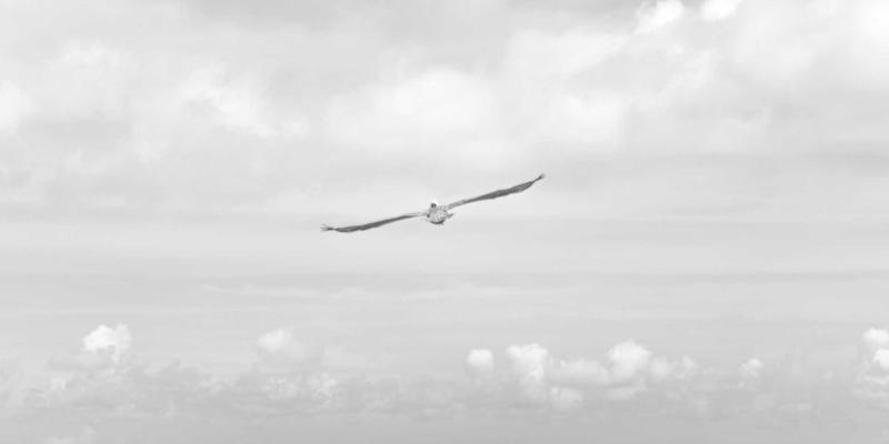 市场调研88：掌握市场分析与数据收集的核心方法论