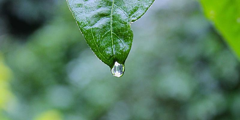 市场调研三部曲：数据收集、分析与洞察驱动的商业决策