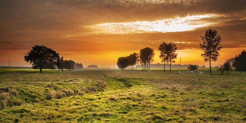 市场调研：定义、方法与价值——解锁市场分析与客户洞察的商业密码