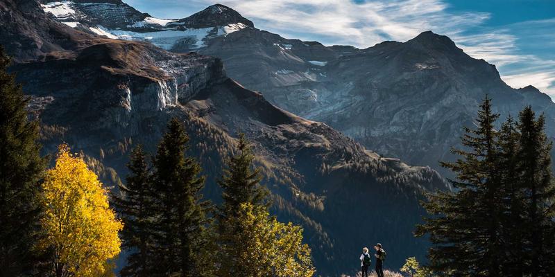 洞见未来需求：如何融合德尔菲法与情景规划提升客户洞察
