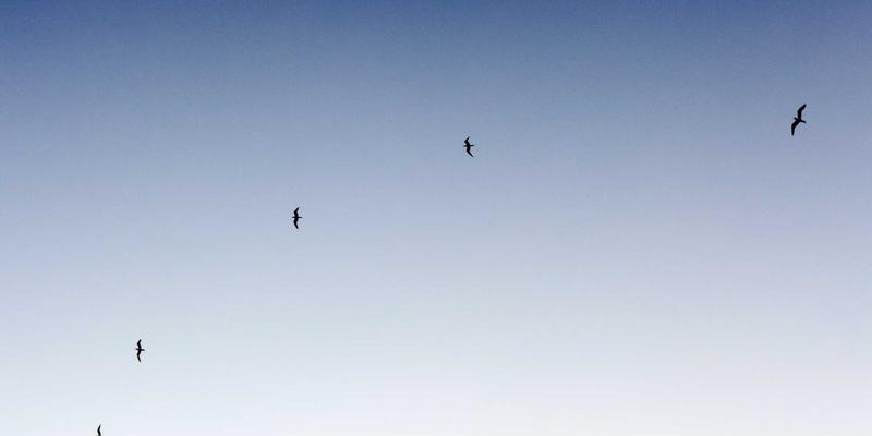 深度访谈的艺术：掌握主持人技巧与追问方法，提升数据收集与客户洞察质量