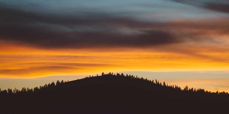 渠道调研与优化：如何通过用户反馈与市场分析选择最佳产品分销路径