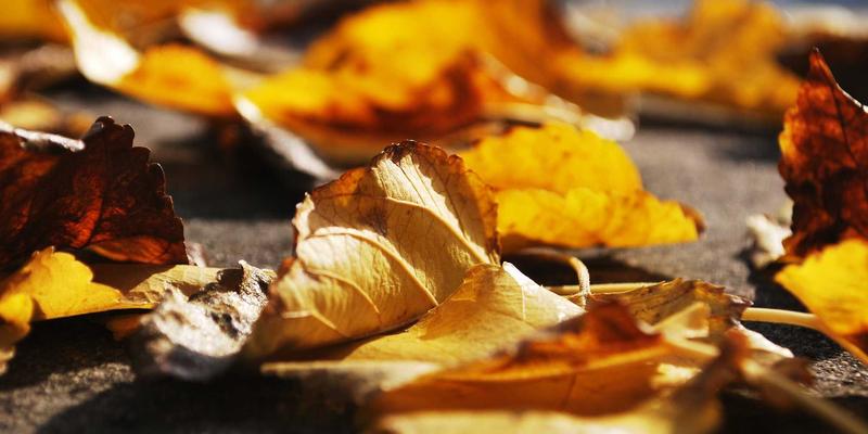 竞品分析框架：从功能拆解到用户体验的系统化对标方法